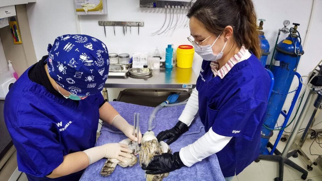 Servicios veterinarios Córdoba